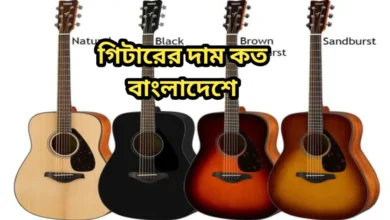 গিটারের দাম কত বাংলাদেশে