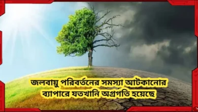 জলবায়ু পরিবর্তনের সমস্যা আটকানোর ব্যাপারে যতখানি অগ্রগতি হয়েছে