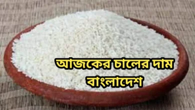 আজকের চালের দাম