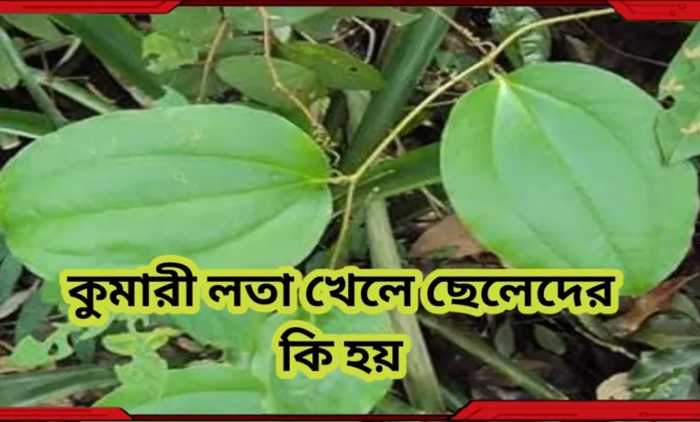 কুমারী লতা খেলে ছেলেদের কি হয়